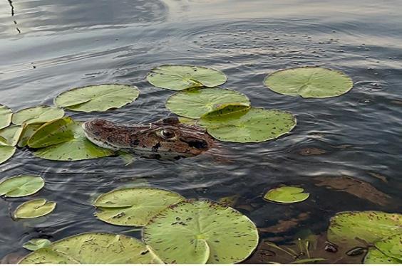 بيت شباب Castana Amazon Park بويرتو مالدونادو المظهر الخارجي الصورة