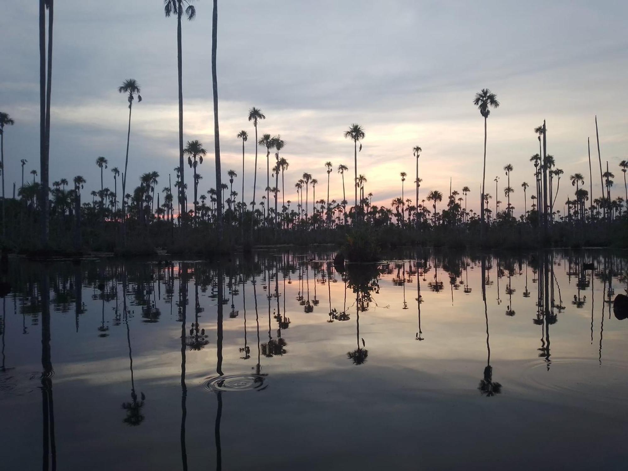 بيت شباب Castana Amazon Park بويرتو مالدونادو المظهر الخارجي الصورة