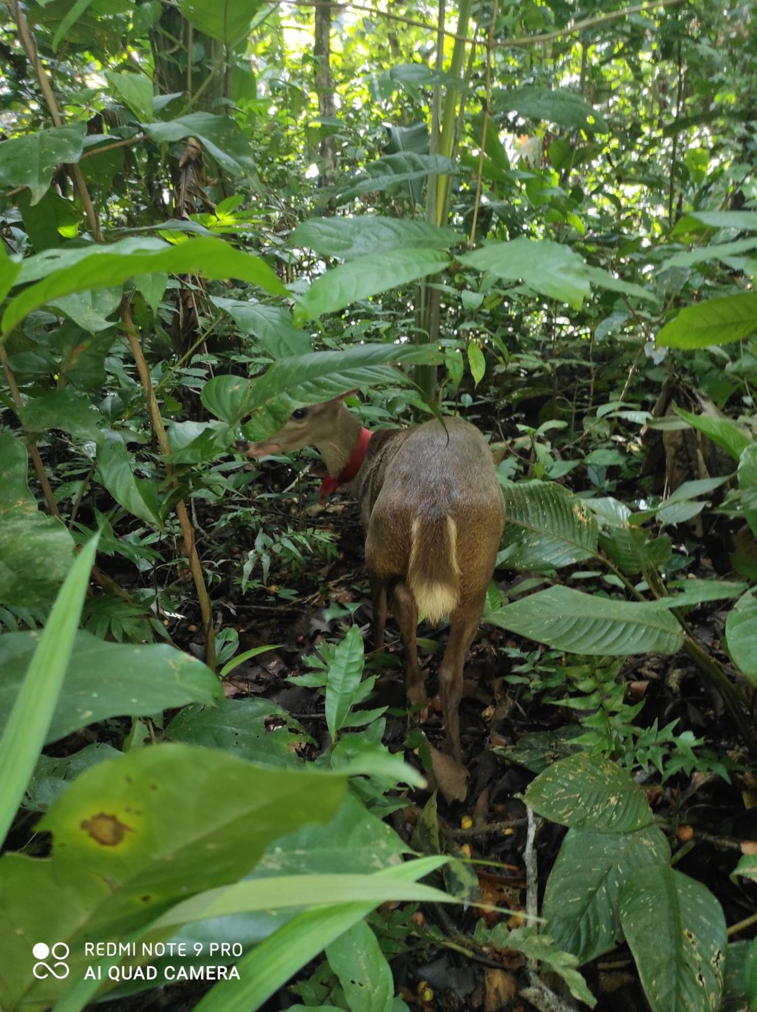 بيت شباب Castana Amazon Park بويرتو مالدونادو المظهر الخارجي الصورة