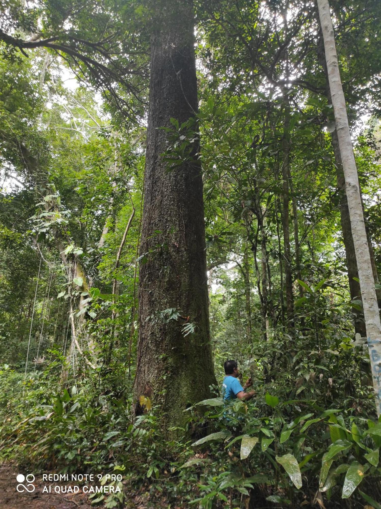 بيت شباب Castana Amazon Park بويرتو مالدونادو المظهر الخارجي الصورة